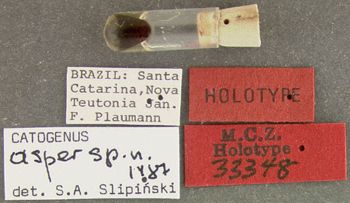 Media type: image;   Entomology 33348 Aspect: labels